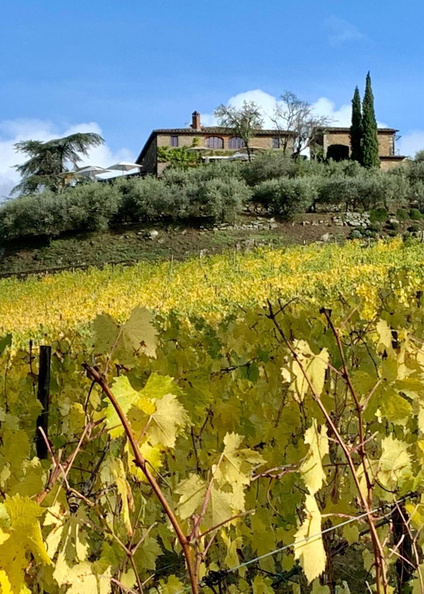 Capannelle Wine Resort Gaiole in Chianti Exterior foto